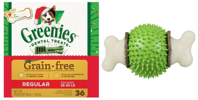 Holiday Dog Toy and Treat