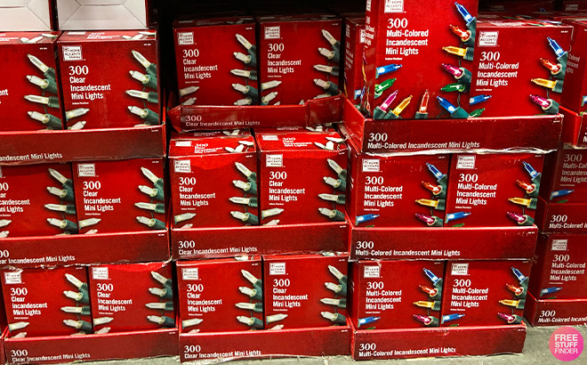 Home Depot Home Accents Holiday Christmas Clear and Multi Colored Lights