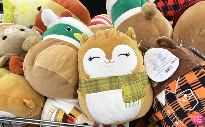 Jazwares Squishmallows Harvest Squad Orange Squirrel Plush