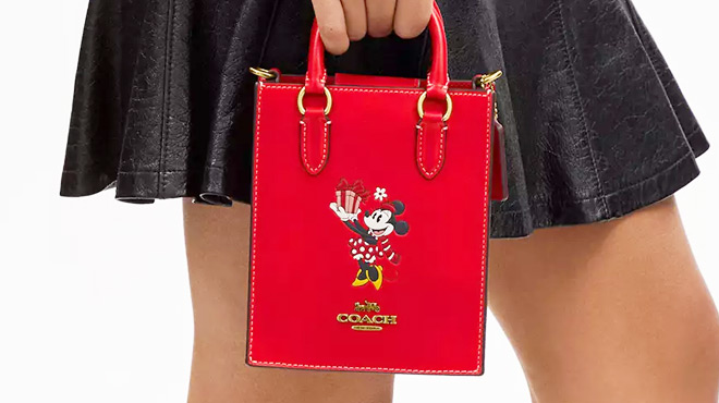 Lady Carrying Disney X Coach North South Mini Tote with Minnie Mouse
