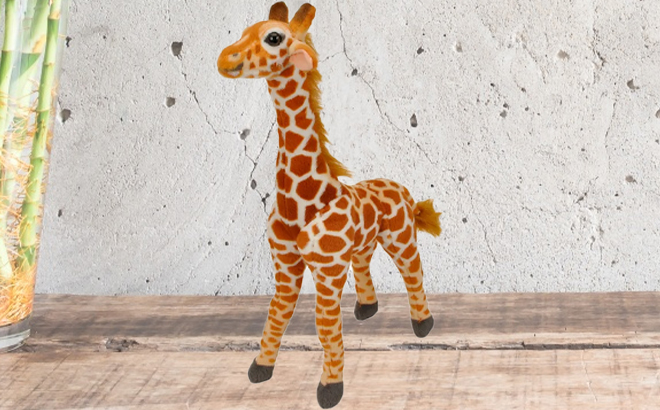 Linzy Jared the on a Tablejpg Linzy Jared the on a Tablejpg