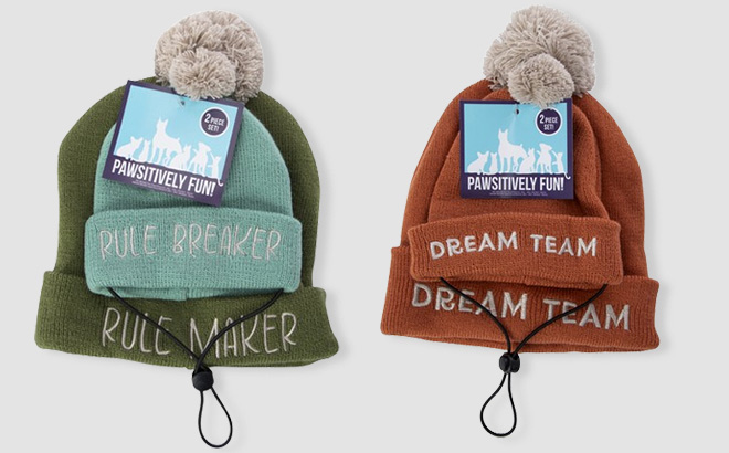 Matching Pet Owner Fall Beanie Hats Set Matching Pet Owner Fall Beanie Hats Set