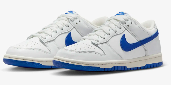 Nike Kids Dunk Low Shoes 1