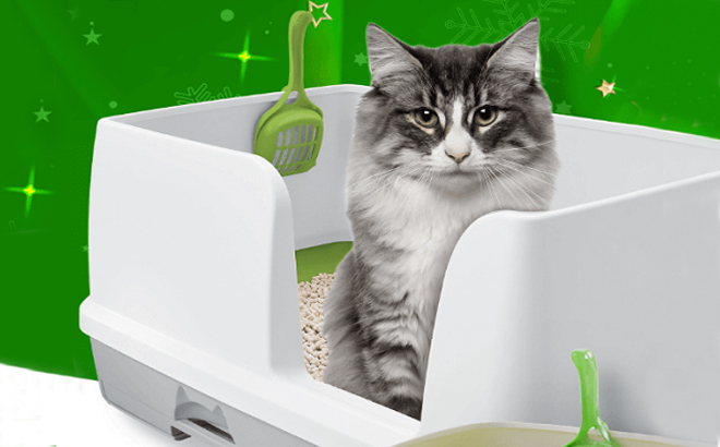 Purina Litter Box with a cat