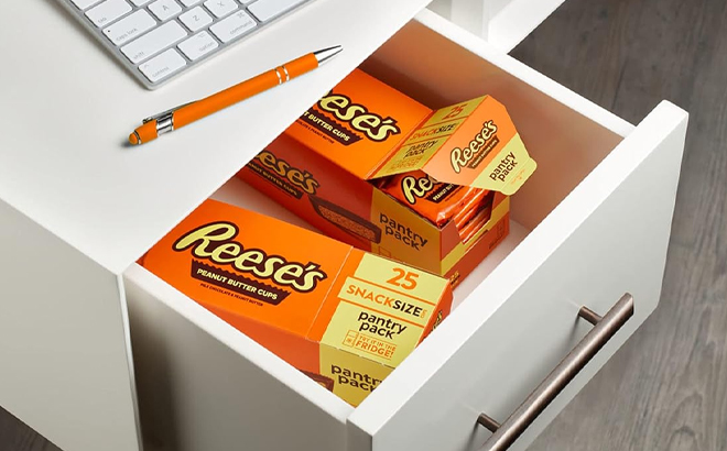 REESES Milk Chocolate Snack Size Peanut Butter Cups 25 Count in a Drawer