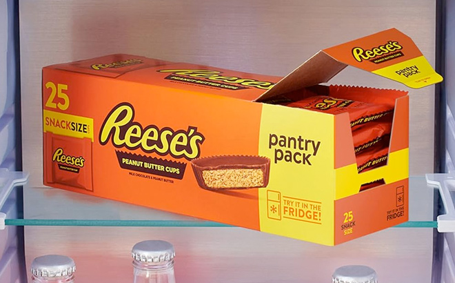 REESES Milk Chocolate Snack Size Peanut Butter Cups