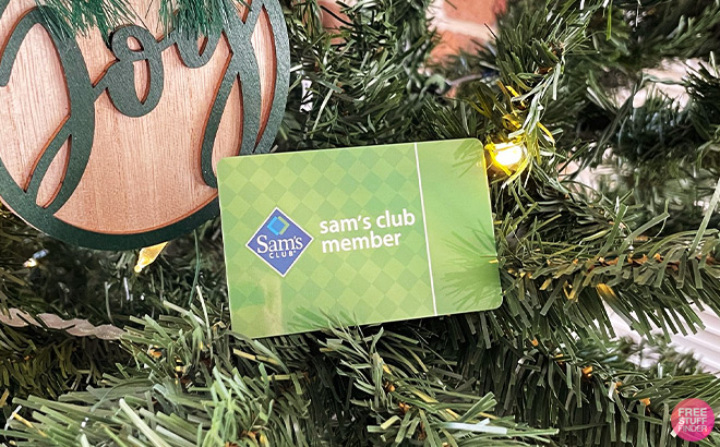 Sams Club Membership Card on a Christmas Tree Branch Next to an Ornament