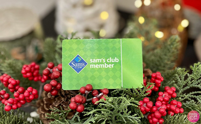 Sams Club Membership Card on top of Christmas Decoration