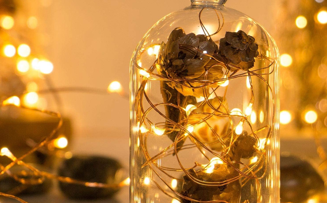 Sanniu 16 Foot LED String Lights Sanniu 16 Foot LED String Lights