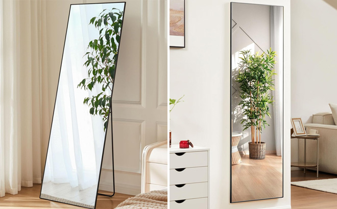 Sweetcrispy Full Length Mirrors