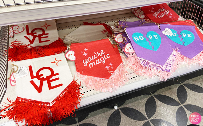 Valentines Day Wall Pennants on Store Shelf