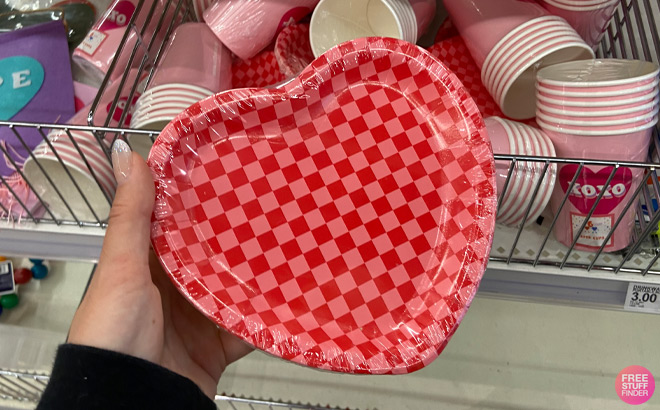 a Hand Holding Valentines Day Heart Paper Plates