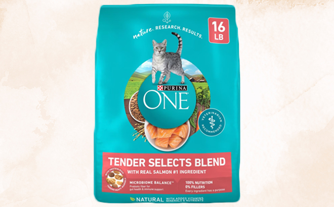 an Image of a Purina ONE Cat Food