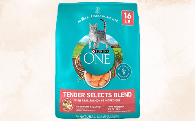 an Image of a Purina ONE Cat Food