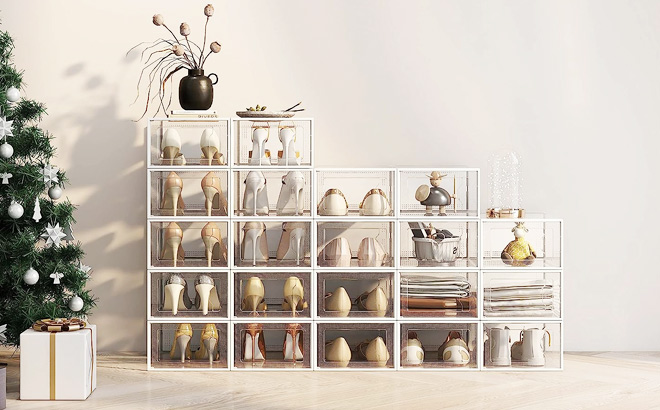 12 Pack Shoe Storage Box