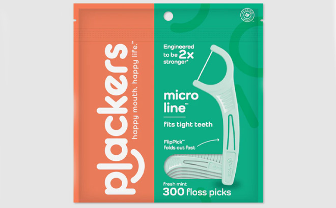 300 Count Dental Floss Picks