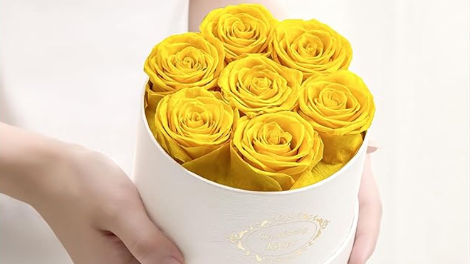 Beaulasting Preserved Roses in a Box in Yellow