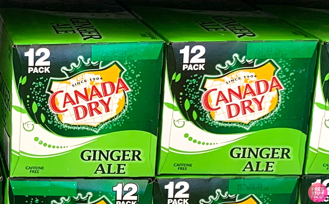 Boxes of Canada Dry Ginger Ale on a Store Shelf