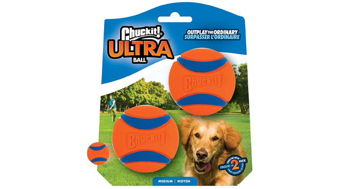 Chuckit Ultra Ball Dog Toy 2 Pack on White Background