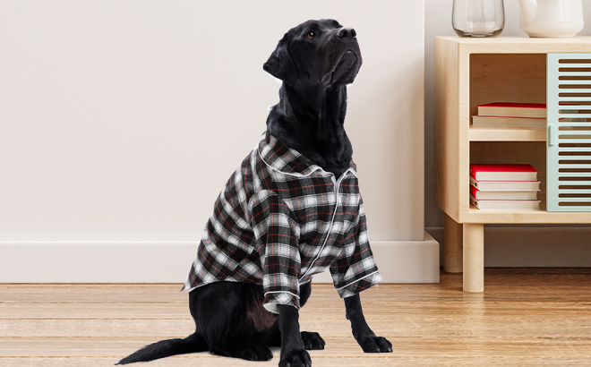 Dog Wearing GAP Pet Pajamas