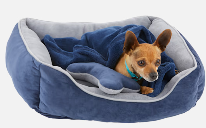 EveryYay Essentials Snooze Fest Dog Bed Bundle