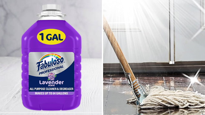 Fabuloso Professional All Purpose Cleaner 1 Gallon on the Left and a Mop on the Right