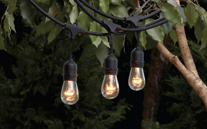 Hampton Bay Commercial Incandescent Edison String Light