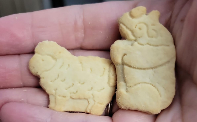 Hand Holding Happy Belly Animal Cookies