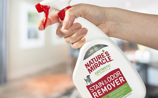 Hand Holding Natures Miracle Dog Stain and Odor Remover