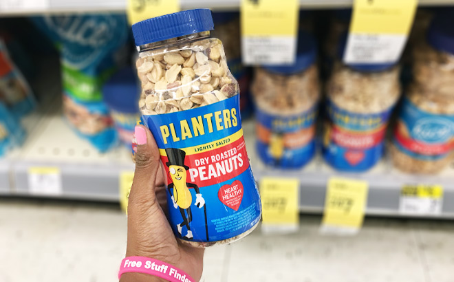 Hand Holding Planters Dry Roasted Peanuts Lightly Salted