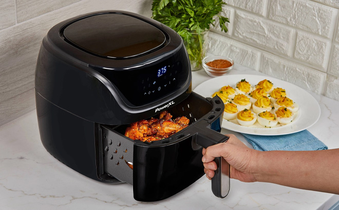 Hand Holding PowerXL Vortex Pro Air Fryer