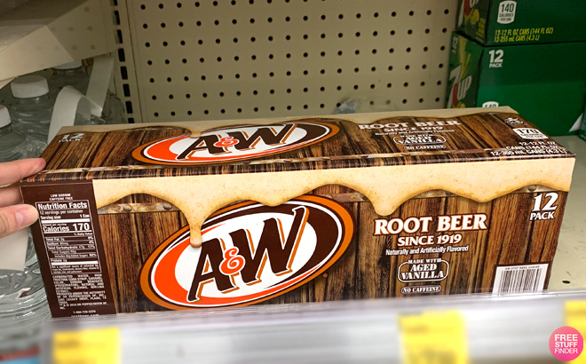 Hand Holding a 12 Pack AW Root Beer