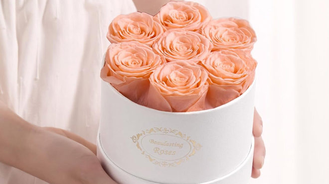 Hand Holding a Beaulasting Roses Preserved Roses in a Box in champagne color