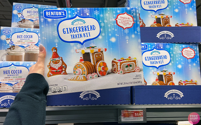 Hand holding Bentons Gingerbread Train Kit