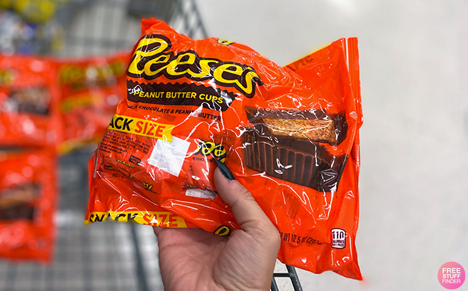 Hand holding Reeses Milk Chocolate Snack Candy