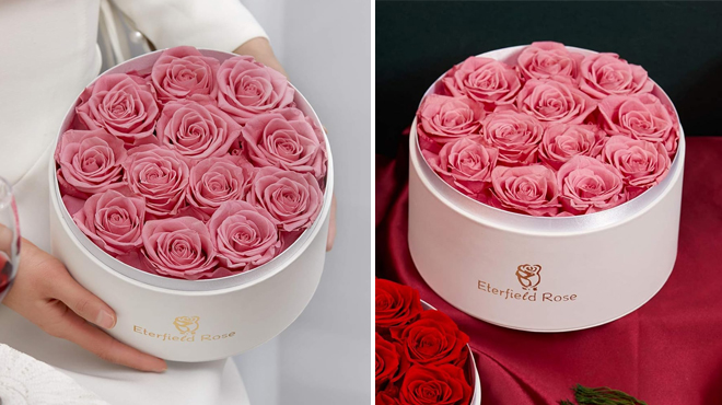 Images of Eterfield 12 Preserved Roses in a Box Pink Color