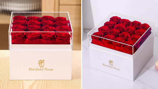 Images of Eterfield Preserved Roses in a Box