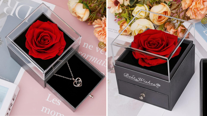 Images of a Preserved Red Rose with Necklace