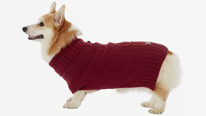 Koolaburra by UGG Oliver Knit Pet Sweater