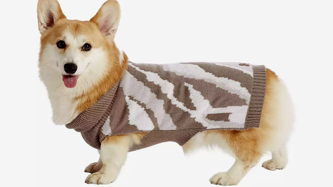 Koolaburra by UGG Owen Knit Pet Sweater