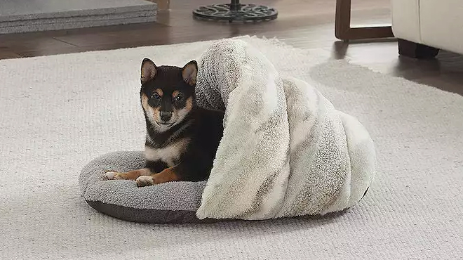 Koolaburra by UGG Zuri Sherpa Pet Bed