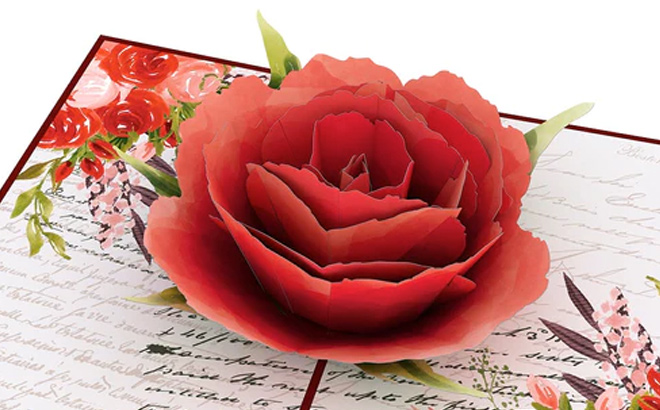 Love Rose Bloom Pop Up Card