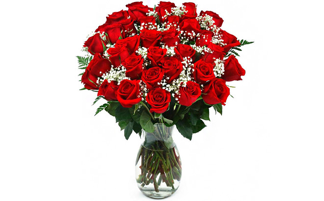 Members Mark Classic Red Rose Vase Arrangement 36 Steams