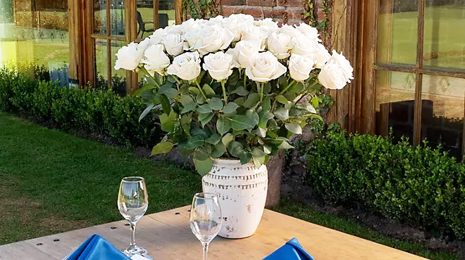 Members Mark Ecuadorian Premium White Roses