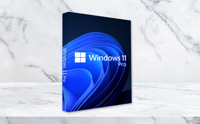 Microsoft Windows 11 Professional License