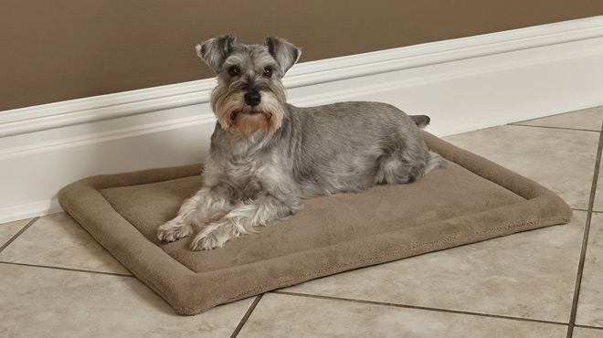 MidWest 18 Inch Deluxe Micro Terry Bed