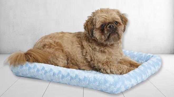 MidWest 24 Inch Bolster Dog Bed