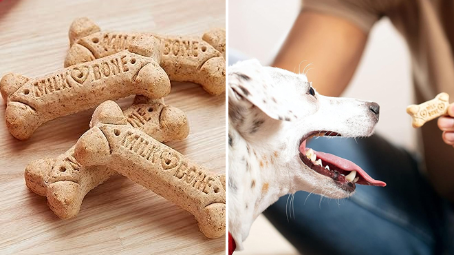 Milk Bone Dog Treats Biscuits on the Left and a Man Giving the Same Dog Treats to His Pet on the Right
