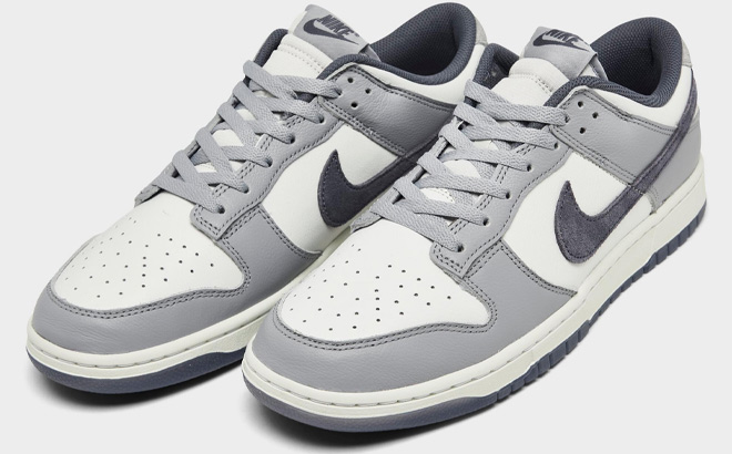 Nike Dunk Low Retro Premium SE Casual Shoes in Light Carbon Color Nike Dunk Low Retro Premium SE Casual Shoes in Light Carbon Color