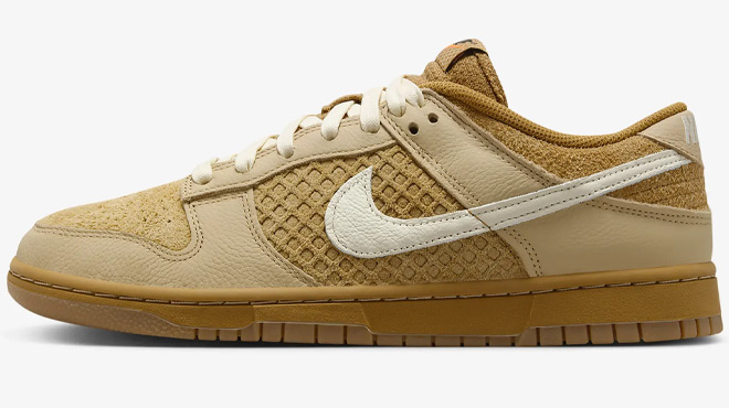 Nike Dunk Low Retro Shoes